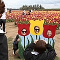 Woodburn Tulip Farm