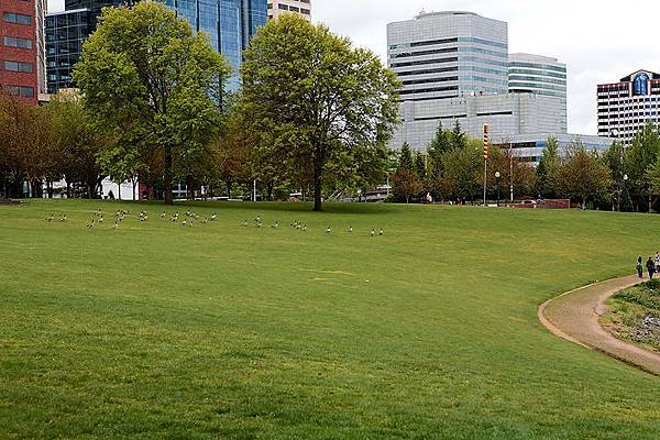 Portland downtown - Water front