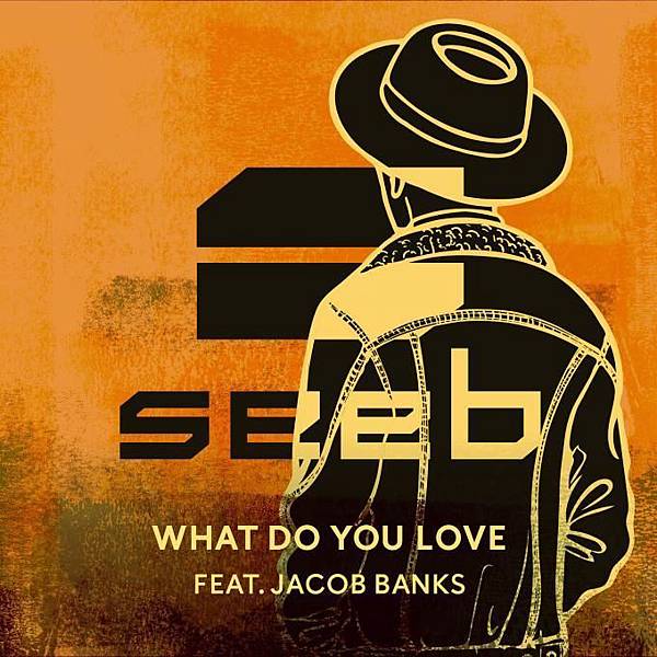 Seeb - What do you love Seeb - What do you love