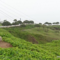 Miraflores morning walk (8)