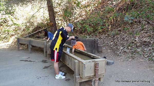 Gold Bug Mine, Placerville (40)