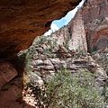 Zion (33)