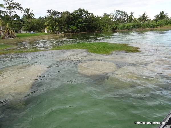 Bacalar (57)