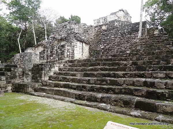 Calakmul (117)