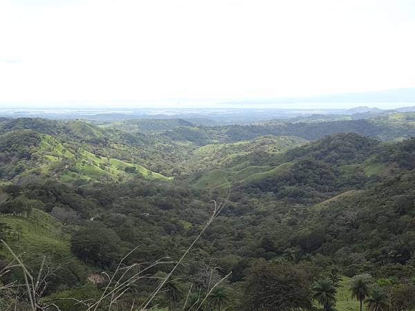 Road 606 to Monteverde