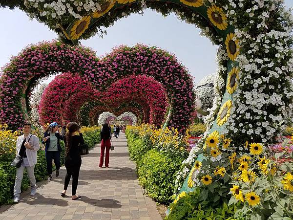 Dubai Miracle Garden (8).jpg