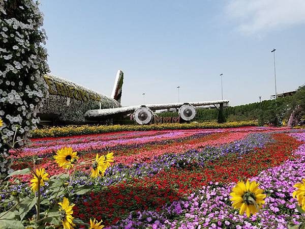 Dubai Miracle Garden (9).jpg