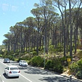 Table Mountain Red line (12).JPG