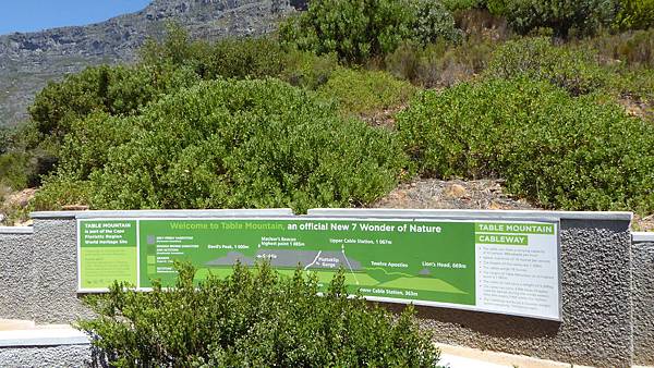 Table Mountain Red line (15).JPG