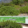 Table Mountain Red line (15).JPG