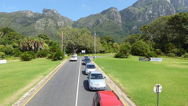 Kirstenbosch National Bontanical Gardens (1).JPG