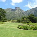 Kirstenbosch  National Bontanical Gardens (3).JPG