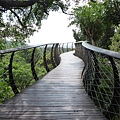 Kirstenbosch  National Bontanical Gardens (23).JPG