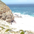 Trail from Cape Point to Cape of Good Hope (10).JPG