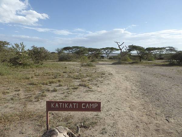 Katikati Camp (1).JPG