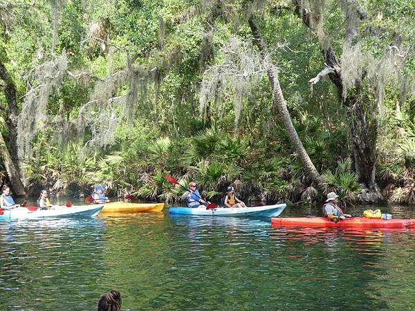 Blue Springs State Park (10).JPG