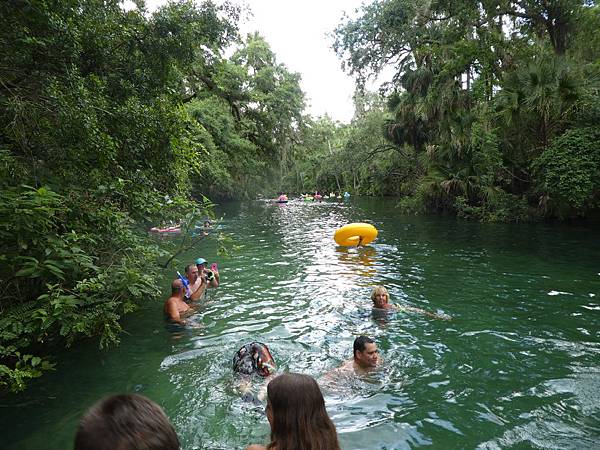 Blue Springs State Park (27).JPG