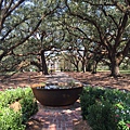 Oak Alley Plantation (55).JPG