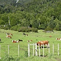 Tranquil 2 Coyhaique (11).JPG