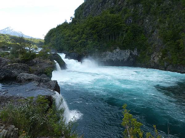 Saltos del Rio Petrohue (16).JPG