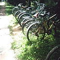 車。輪