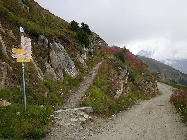 Grosser Aletschergletscher Trail-Obers Tälli