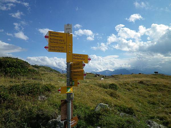 Grosser Aletschergletscher Trail-Way to Hohfluh