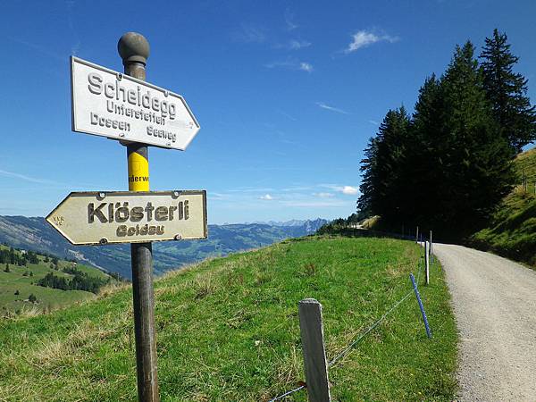 Mt Rigi-Way to Unterstetten