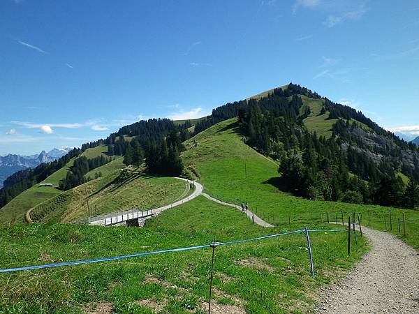 Mt Rigi-Way to Unterstetten