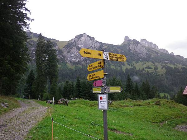 Alpstein Massif-Plattenbödeli