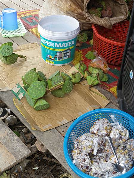 062 161013 Tonle Sap Lake-Lotus Field.JPG