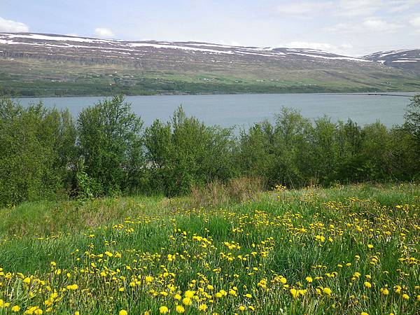 175 160608 Akureyri.JPG