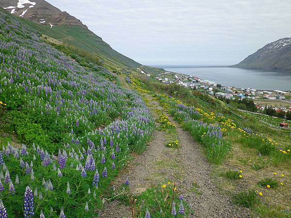 146 160609 Siglufjörður.JPG