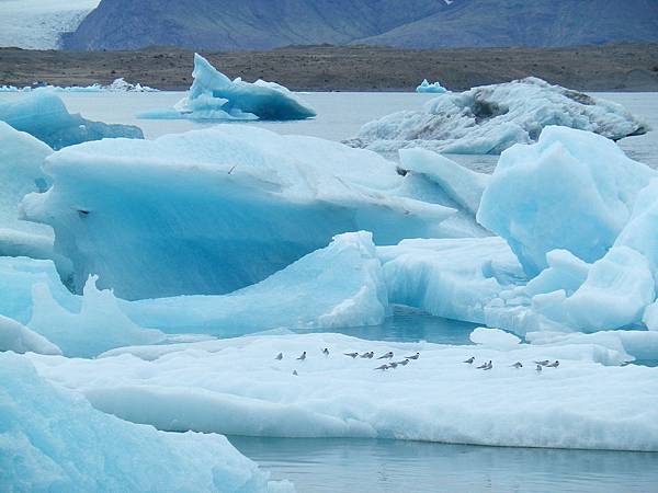 039 160611 Jökulsárlón.JPG