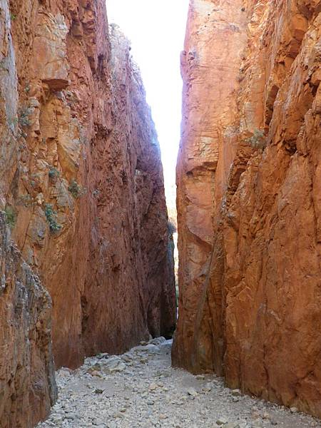 111 160910 West Macdonnell Ranges-Standley Chasm.JPG