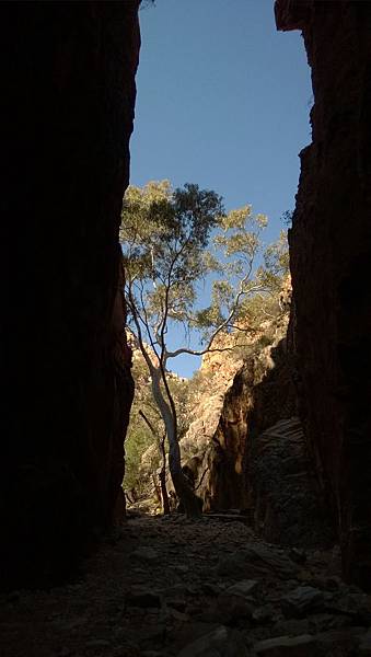 136 160910 West Macdonnell Ranges-Standley Chasm.jpg