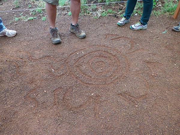 038 160913 Uluru-Mala Walk.JPG