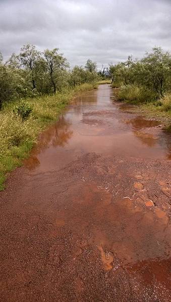 207 160913 Uluru-Lungkata Walk.jpg