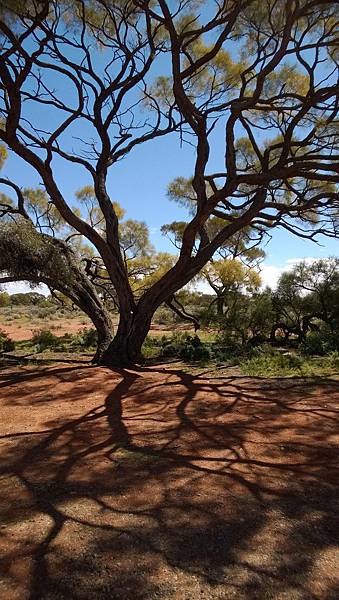 048 160915 Way to Port Augusta.jpg