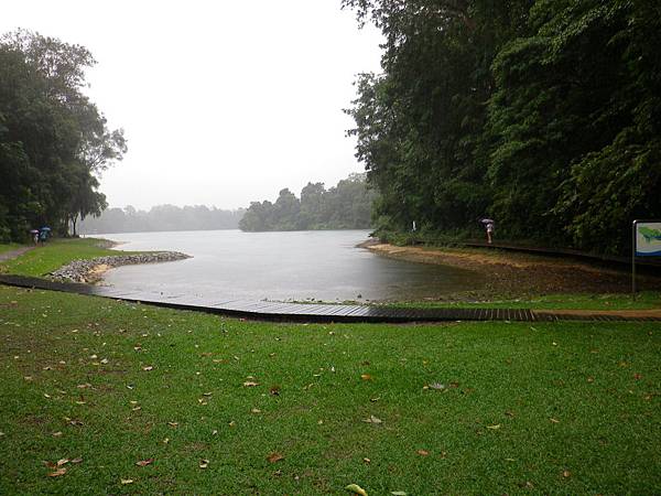 134 160102 MacRitchie Reservoir.JPG