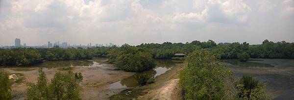 179 160430 Sungei Buloh Wetland Reserve.jpg