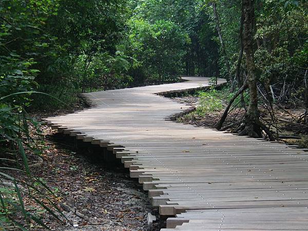 109 160827 Singapore-Palau Ubin-Chek Jawa Wetlands.JPG