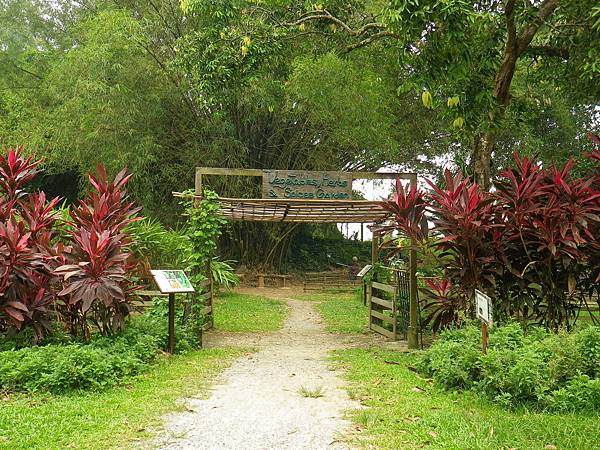 136 160827 Singapore-Palau Ubin-Sensory Trail.JPG