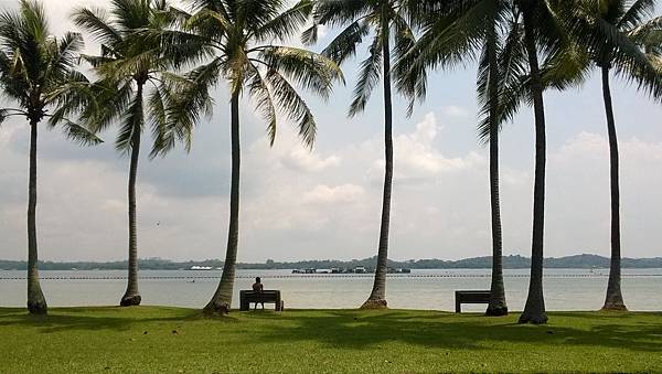 087 170318 Singapore-Pasir Ris Park.jpg