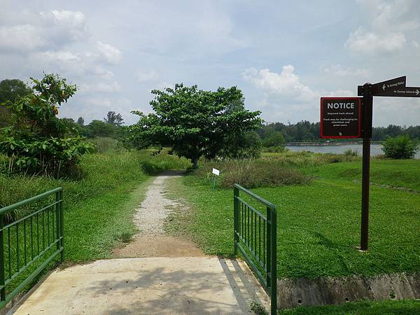 066 160501 Punggol-Lorong Halus Wetland.JPG