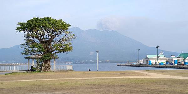 154 190301 鹿兒島-Dolphin Port.jpg