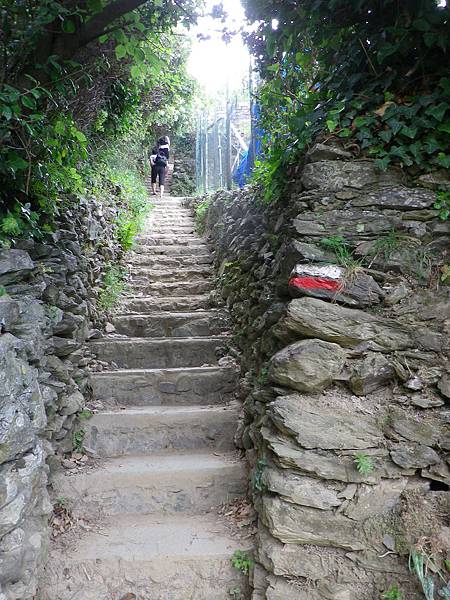 083 190610 SVA2 Sentiero Monterosso - Vernazza.JPG