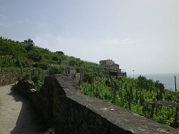 240 190610 Corniglia.JPG