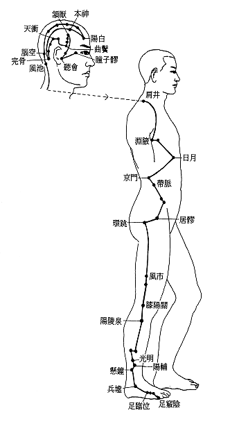 膽經