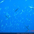 DSC00114